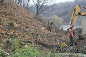 В Киеве массово уничтожают зеленые насаждения