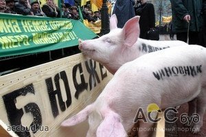 Правительство продолжает искать новые источники наполнения казны!