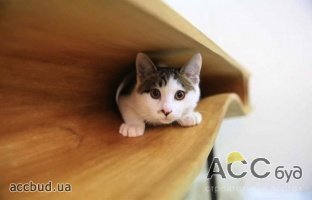 Дизайнерский КотоСтол - CaTable