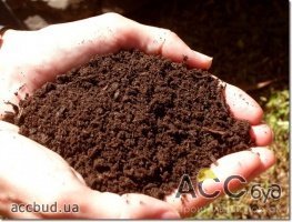 В Киеве растет «земельный голод»