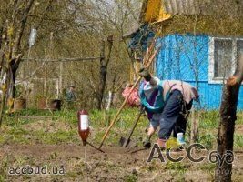 Регионалы спешат помочь дачникам