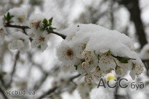 Погода в очередной раз сыграла злую шутку с аграриями!