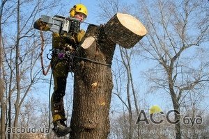 Часть средств хотят сэкономить на озеленении!