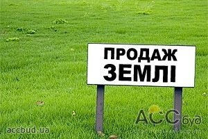 Получить лицензию на деятельность Зембанк планирует в конце августа