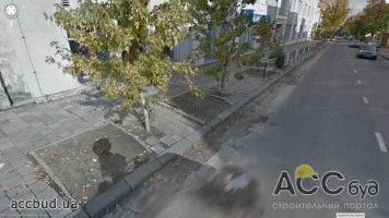 Суровые львовские коммунальщики высадили деревья прямо в асфальт